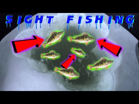 2021 Sight Fishing For JUMBO Perch! Cut A Huge Hole In The Ice! Open Water!! DANGEROUS