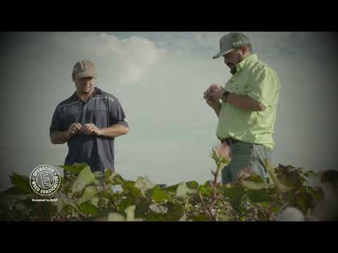 No-Till & Cover Crops for Weed Management with Jay Ray Sageser