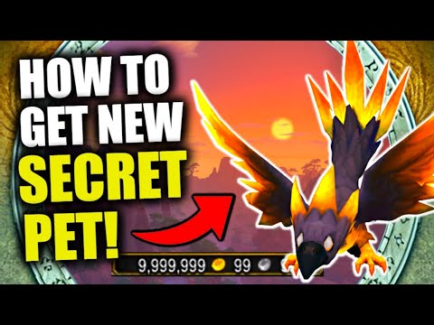 Phoenix Wishwing Full Guide | Make MILLIONS w/ Secret Pet! WoW Dragonflight Goldfarming | 10.0.7