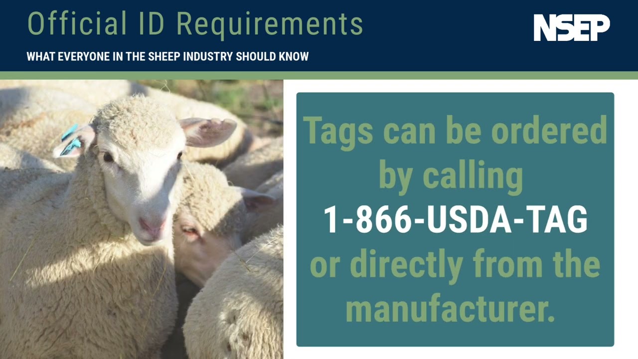 Official ID Requirements for Interstate Commerce