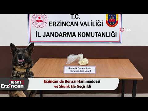 Erzincan'da Bonzai Hammaddesi ve Skunk Ele Geçirildi