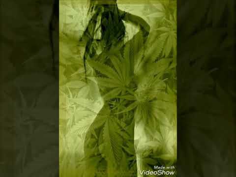 DJ WINSTON X HOTWILLS *ROs BaLaT* KaNaKY 2017