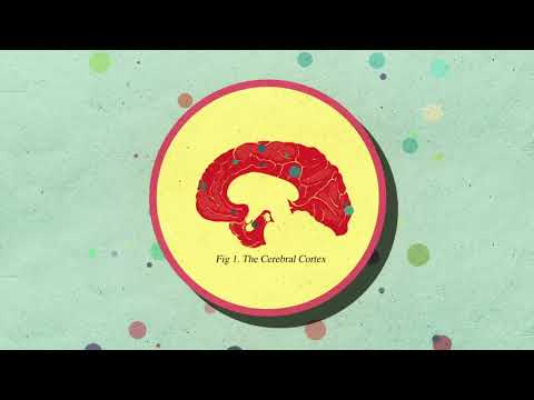 TED (cómo el azúcar afecta el cerebro)