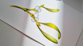How to paint winter berries! White Berries Watercolor Tutorial: Mistletoe Branch Painting