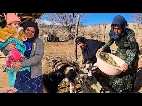 A Hard and Challenging Day for Fariba in Bone-Chilling Cold