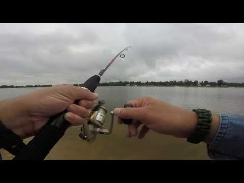 HD Four Fish A Fly On Friday