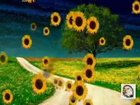 178.  Rafko Irgolič  Pred mano je poletje