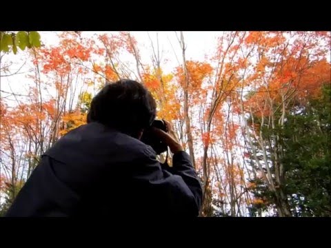 COOL STAR SELECTION UNLTD2