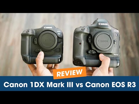 Canon R3 vs Canon 1DX Mark III | Battle of the Full Frame Flagship Camera