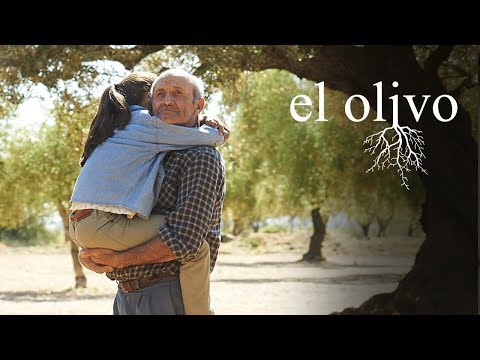 Trailer en español de El olivo
