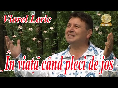 Viorel Leric - Am crescut sarac - Hora Banateana din Muzica din Banat