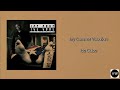 Ice Cube - My Summer Vacation (Clean Version)