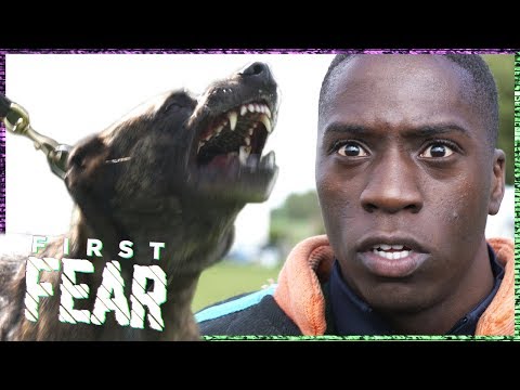 OUASSIMA en TA JOELA AANGEVALLEN door POLITIEHOND | FIRST FEAR