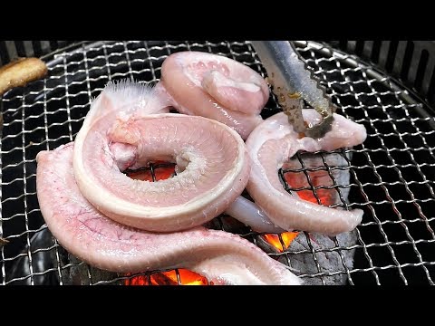 Grillad Hagfish (äter rå ål) - fantastisk koreansk mat