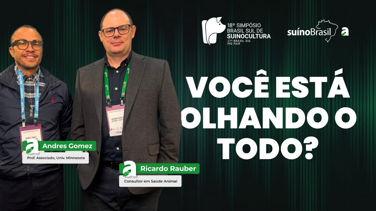 A dieta está certa. Então por que o animal não entrega desempenho?
