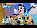 T.O.T.S | De Lach van Henry | Disney Channel NL