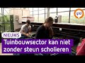 Tuinbouwsector kan niet zonder scholieren