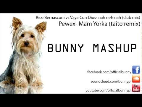 Rico Bernasconi Vs Vaya Con Dios vs Pewex vs Taito- Mam Yorka Nah Neh Nah (BUNNY MASHUP!)