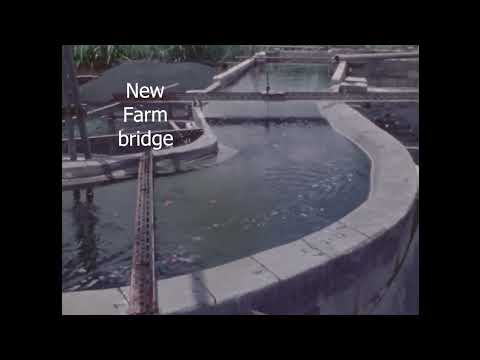 Physical modelling in hydraulic engineering (5.3) Examples of distorted Froude scaled models