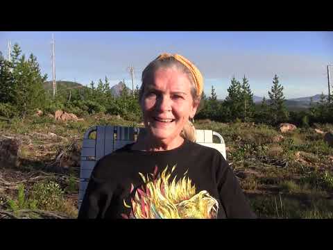 Witness21  2023 07 26