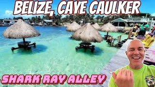 BELIZE, CAYE CAULKER, Shark Ray Alley #carnivalmagic 