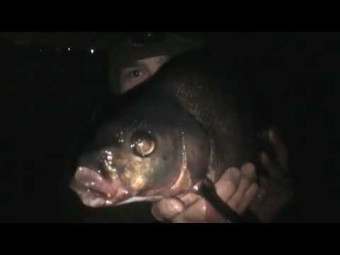Big bream fishing on a gravel pit (entry 458)