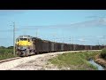 Sugarcane Trains in South Florida - November 2019