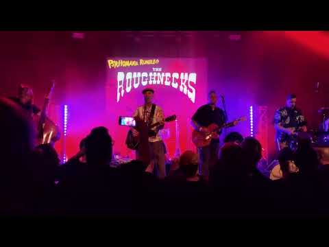 The Roughnecks - Psychomania Rumble 17 - Potsdam Lindenpark - 7.6. - 8.6.2025