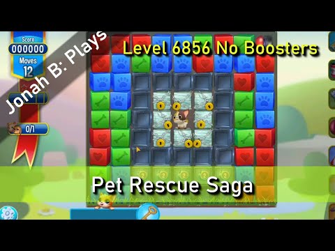 Pet Rescue Saga Level 6856 No Boosters