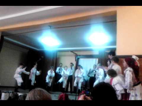 Ansamblul Folcloric Martisorul Avram Iancu