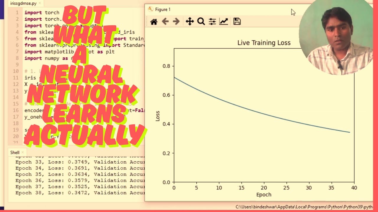But What A  Neural Network Learns Actually: Neural Network  Architecture for Iris Data Set