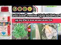 ronfen full information in Telugu || best Agro science ronfen | తెల్ల దోమ నివారణకు