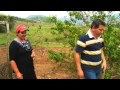 Trilhas Do Sabor Ep 90 Parte 2 Formiga Içá E Culinária De Silveiras