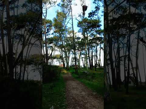 "Paseando por el Parque Andresito" #lapaloma #rocha #uruguay