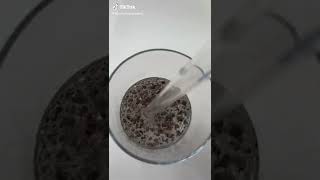 Chia Seeds Water for your ABS | Best NATURAL weight loss drink