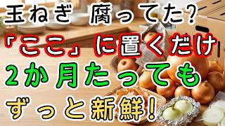 【今すぐやめて】その保存方法、玉ねぎを腐らせていました。2か月新鮮に保つ3つの秘密の方法を大公開！【節約術】【野菜保存】【玉ねぎ】