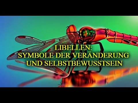 Libellen: Symbole der Veränderung und Selbstbewusstsein