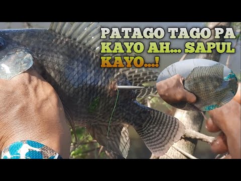 Nagtatago pa kayo eh kita ko naman kayo/fishing adventure/dani tiksay hunter.