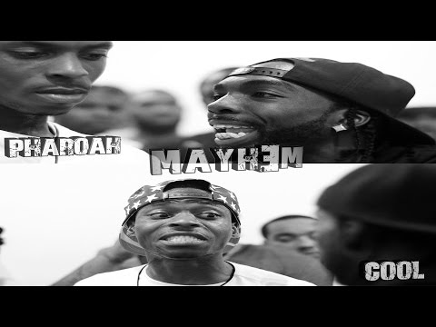 Pharoah vs Cool