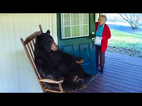 Funniest ANIMALS Videos 2026 will make you LAUGH YOUR HEAD OFF 😂