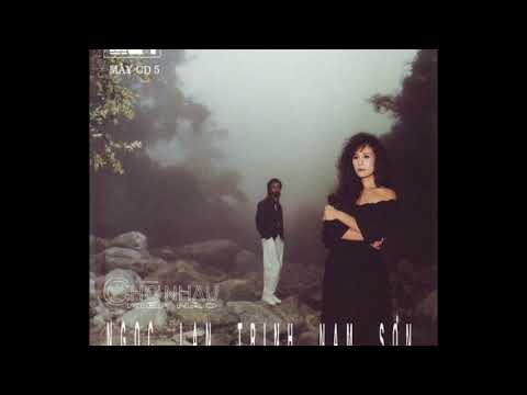 Thể hiện bởi Trịnh Nam Sơn
