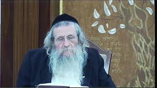 תורה אור פ' נח ד"ה ויאמר ה' חלק ב הרב מנדל וועכטר שנת תש"פ