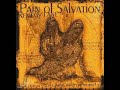 Beyond The Pale - Pain Of Salvation