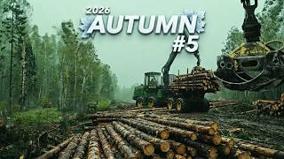 2026 Autumn #5. Po remontų... Vos nepasigavau stirnos... Užklupo liūtis...
