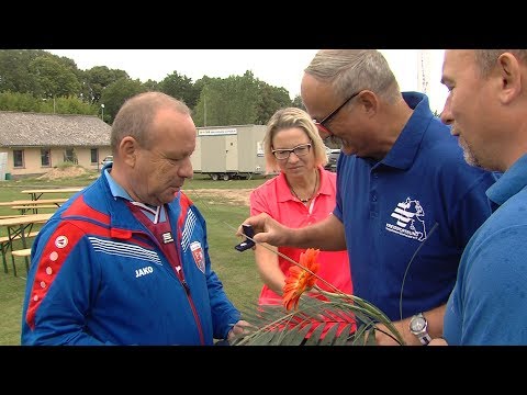 Fußballfieber in Pasewalk
