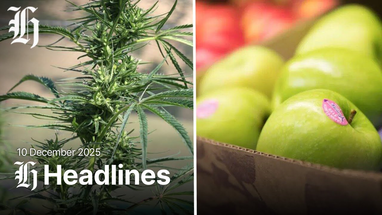 NZ Herald Headlines | Thursday December 11, 2025