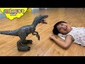 ALPHA RAPTOR BLUE Escapes Out Skyheart Toys Jurassic World Dinosaurs For Kids Action