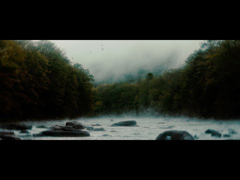 Ov Wind And Water | Red Raven | Tokina Cinema Vista | Dehancer #dehancer #tokina #cinematic #nature