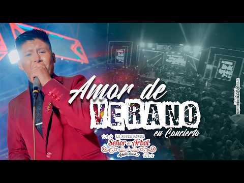 LA SÚPER BANDA SEÑOR DEL ARBOL - AMOR DE VERANO (En Concierto en Vivo 4K)