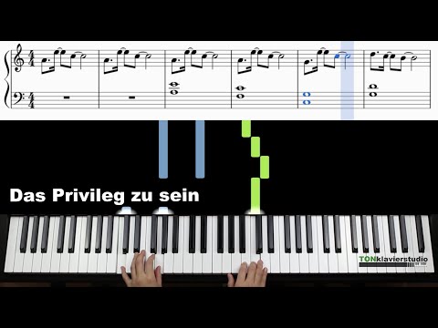 🎹Samuel Harfst - Das Privileg zu sein / sheet (Piano Tutorial) 독일 찬양🎹